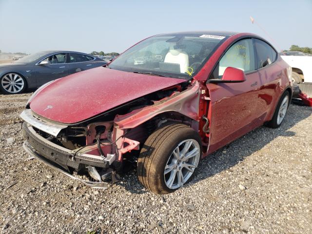 2021 TESLA MODEL Y 5YJYGDEE0MF189895
