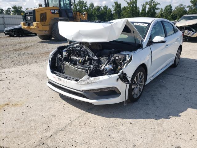 2017 HYUNDAI SONATA SPO 5NPE34AF3HH479391