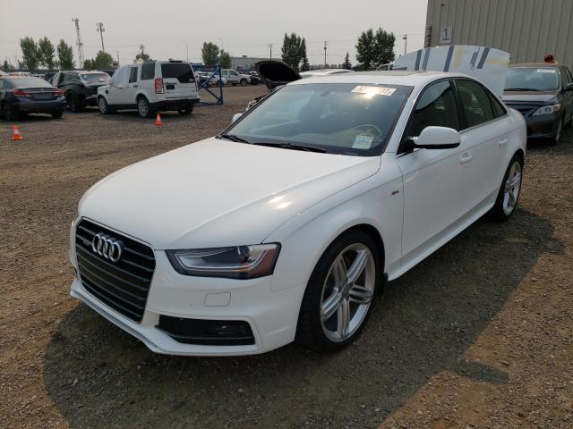 2016 AUDI A4 PROGRES WAUHFCFL9GN002814