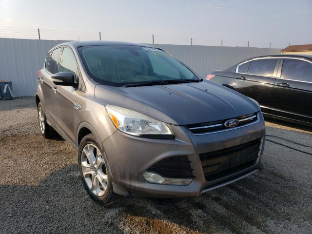 Salvage cars for sale from Copart Louisville, KY: 2013 Ford Escape SEL