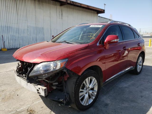 2010 LEXUS RX 450 JTJZB1BA6A2001041