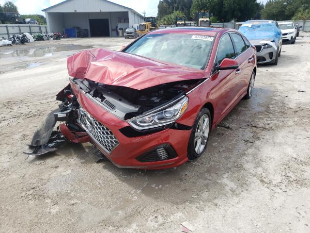 2019 HYUNDAI SONATA LIM 5NPE34AF8KH772243