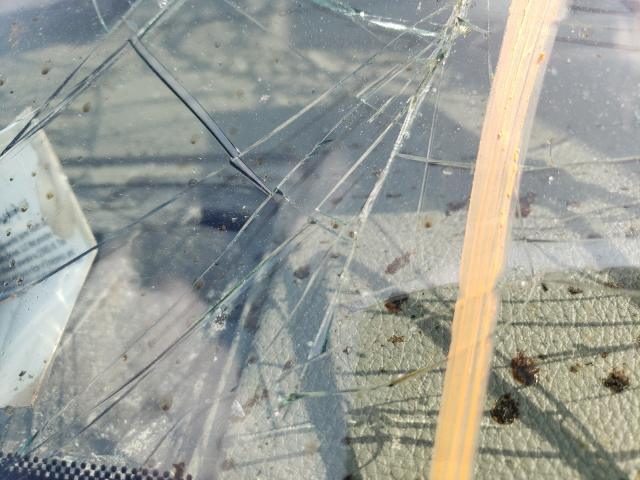 2010 INFINITI QX56 5N3ZA0NF3AN908550