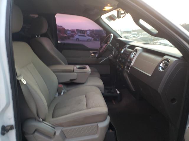 2010 FORD F-150 1FTFW1CV2AFA52282