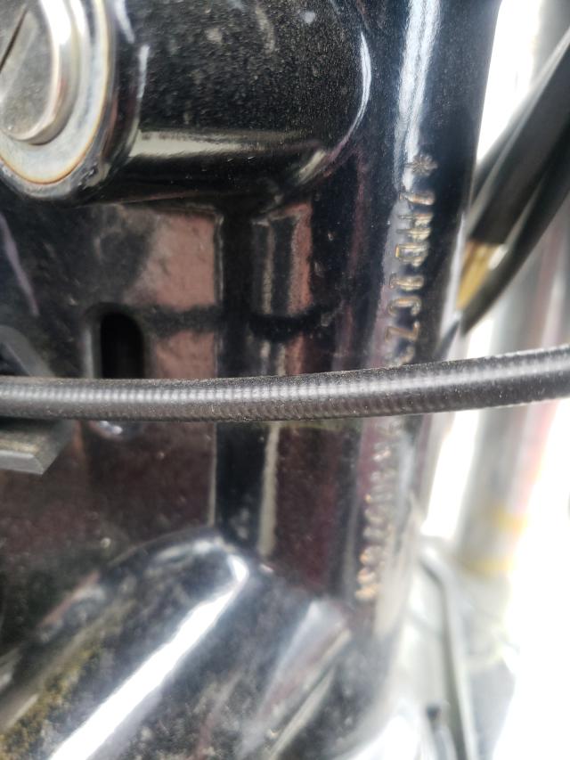 2009 HARLEY-DAVIDSON XL1200 N 1HD1CZ3199K405763
