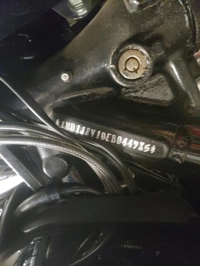 2014 HARLEY-DAVIDSON FLS SOFTAI 1HD1JRV10EB044985
