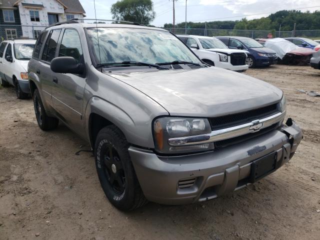 Salvage cars for sale from Copart Mcfarland, WI: 2006 Chevrolet Trailblazer