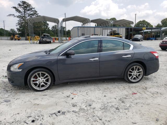 2011 NISSAN MAXIMA 1N4AA5AP4BC830837