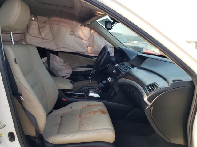 2013 HONDA CROSSTOUR 5J6TF1H52DL001411