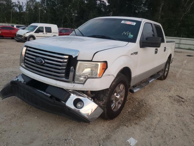 2010 FORD F-150 1FTFW1CV2AFA52282