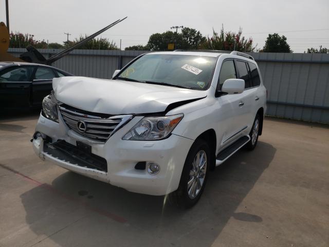 2011 LEXUS LX 570 JTJHY7AX3B4081519