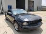 2005 FORD  MUSTANG