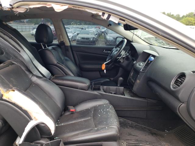 2010 NISSAN MAXIMA 1N4AA5AP5AC849945