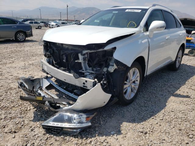 2013 LEXUS RX 450 JTJBC1BA8D2442964
