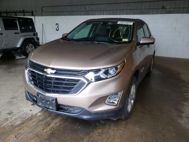 2019 CHEVROLET 136 2GNAXUEV3K6201307