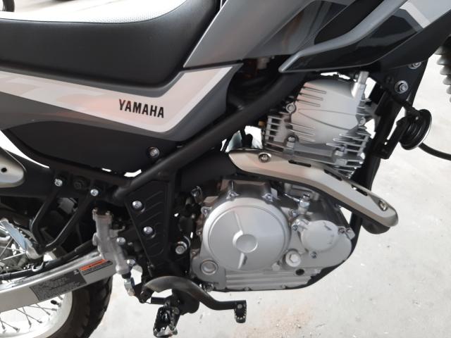 2021 YAMAHA XT250 JYADG24E5MA013885