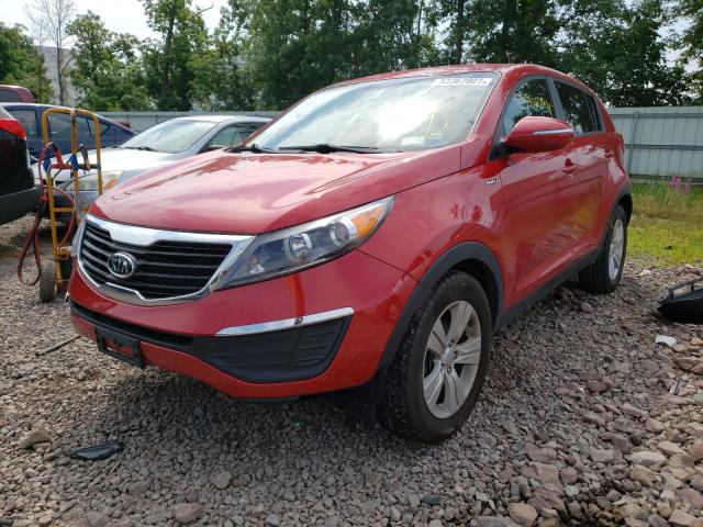 2012 KIA SPORTAGE L KNDPBCA25C7210390