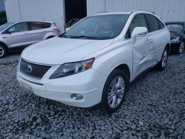 2010 LEXUS RX 450 JTJBC1BA1A2016920