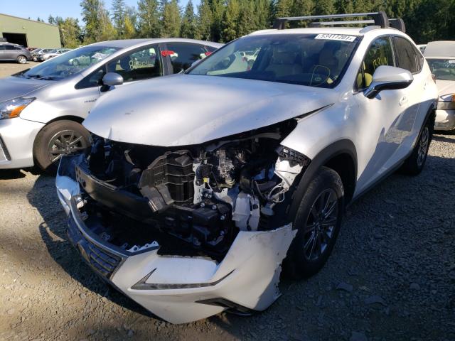 2019 LEXUS NX 300H JTJBJRBZ2K2109571