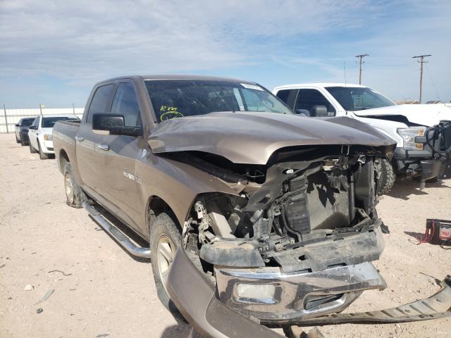Salvage cars for sale from Copart Andrews, TX: 2009 Dodge RAM 1500