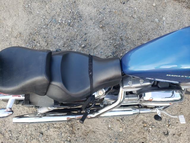 2005 HARLEY-DAVIDSON XL883 L 1HD4CMM175K448958