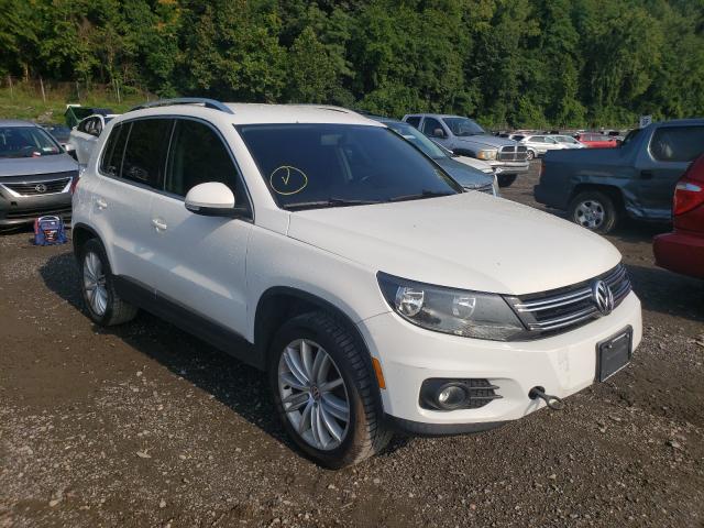 2013 VOLKSWAGEN TIGUAN S WVGBV3AX8DW596710