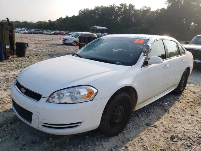 2010 CHEVROLET IMPALA POL 2G1WD5EM9A1186305