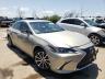 2021 LEXUS  ES300