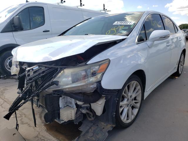 2010 LEXUS HS 250H JTHBB1BA4A2006211