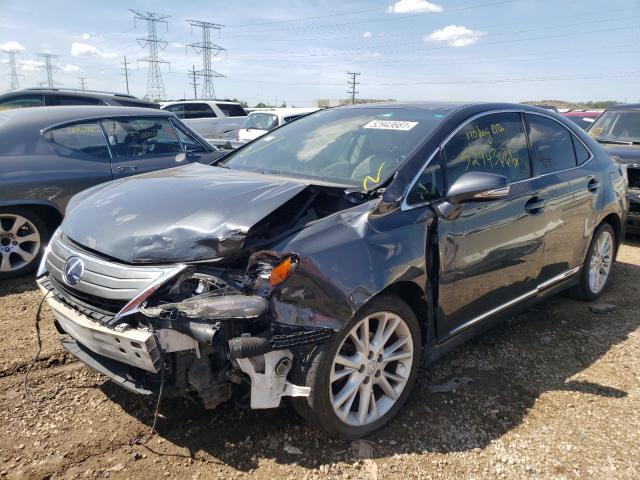 2010 LEXUS HS 250H JTHBB1BA2A2018325