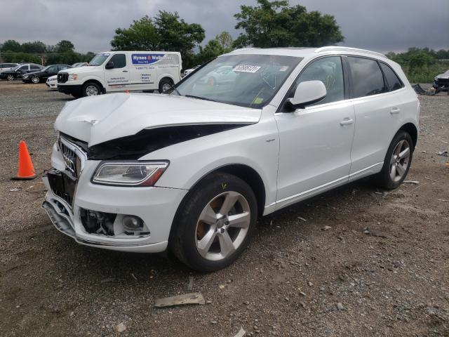 VIN WA1C8AFP2DA024102 2013 Audi Q5, Premium Hybrid no.2