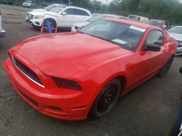 2014 FORD MUSTANG 1ZVBP8AMXE5295779