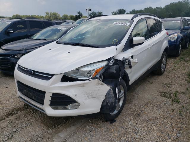 2014 FORD ESCAPE SE 1FMCU0G94EUD43802