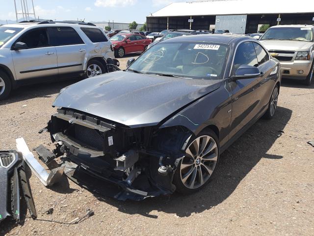 2014 BMW 228 I WBA1F5C52EV256137