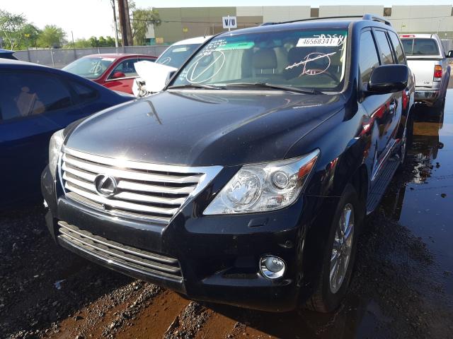 2011 LEXUS LX 570 JTJHY7AXXB4079508