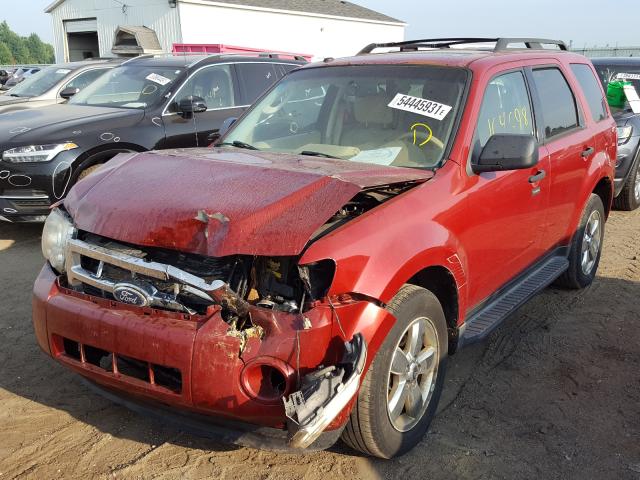 2011 FORD ESCAPE XLT 1FMCU9DG1BKB97454