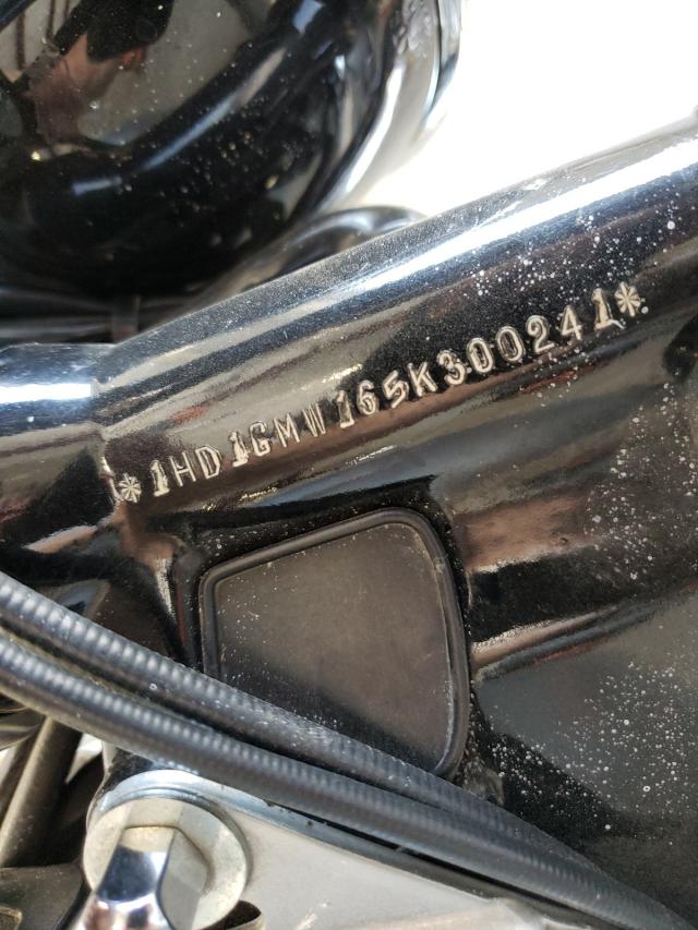 2005 HARLEY-DAVIDSON FXDI 1HD1GMW165K300241