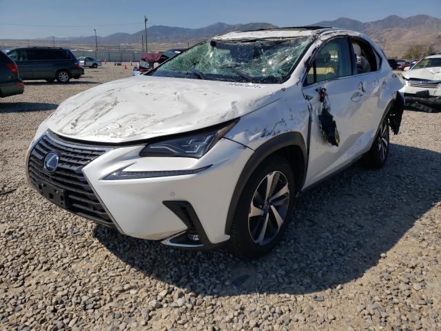 2021 LEXUS NX 300H BA JTJHJRDZ6M2155415