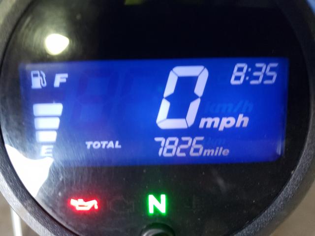 2019 HONDA CMX500 MLHPC5609K5200839