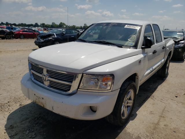 2011 DODGE DAKOTA LAR 1D7RW5GP8BS589561