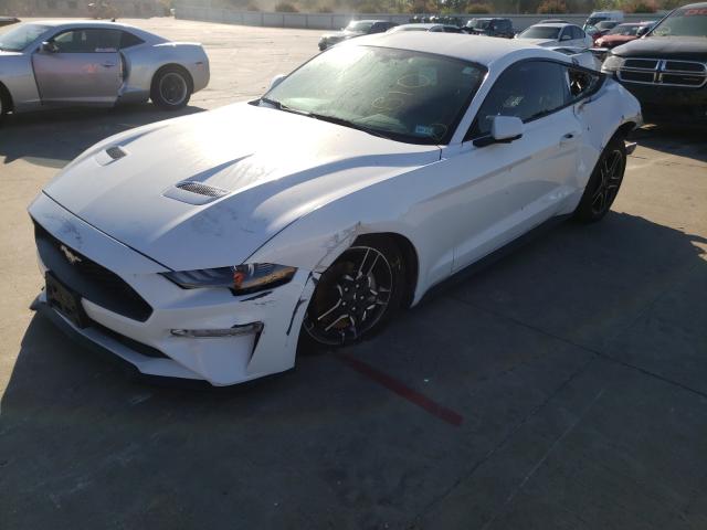 2019 FORD MUSTANG 1FA6P8TH3K5151819