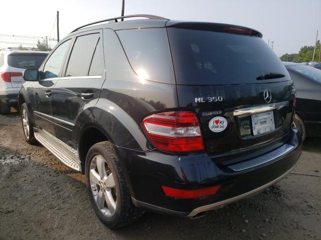 2010 MERCEDES-BENZ M-CLASS 4JGBB8GBXAA558681