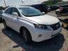 2013 LEXUS  RX350