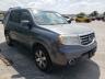 2013 HONDA  PILOT