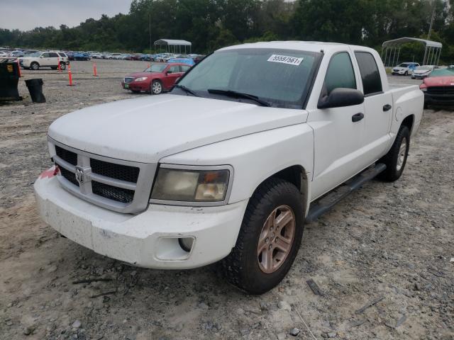 2011 DODGE DAKOTA SLT 1D7RE3GK7BS559690
