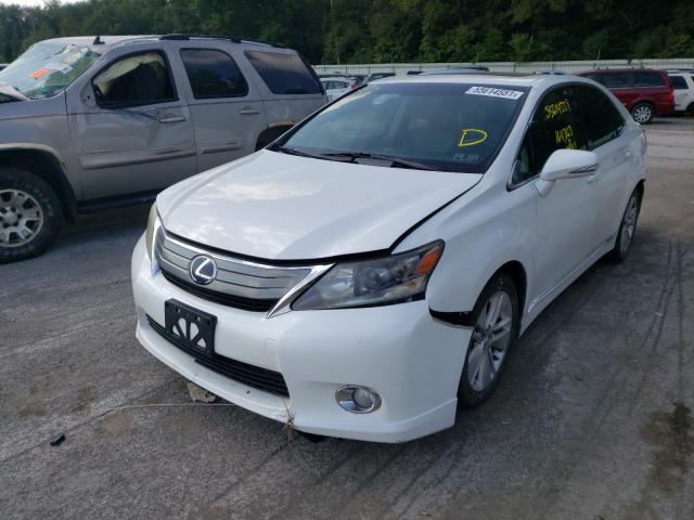 2010 LEXUS HS 250H JTHBB1BA6A2015184