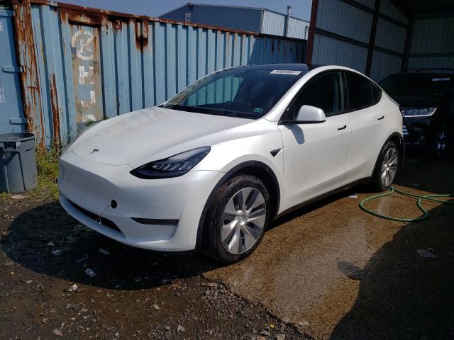 2020 TESLA MODEL Y 5YJYGDEE5LF032202