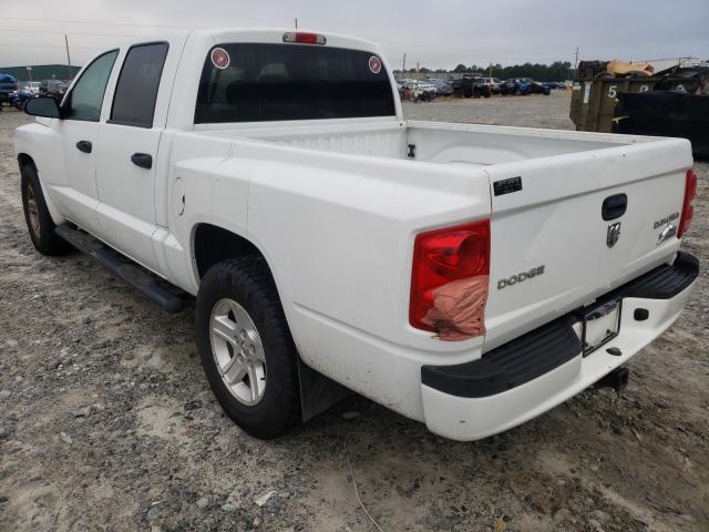 2011 DODGE DAKOTA SLT 1D7RE3GK7BS559690