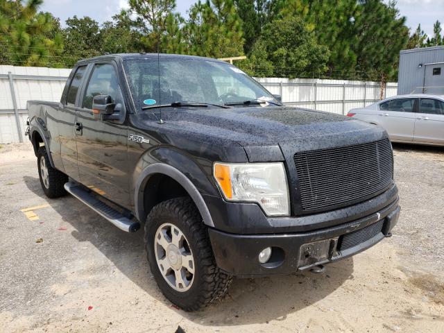 Salvage cars for sale from Copart Gaston, SC: 2010 Ford F150 Super