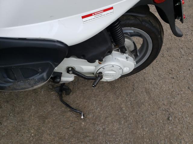 2009 PIAGGIO FLY ZAPC446B894001628